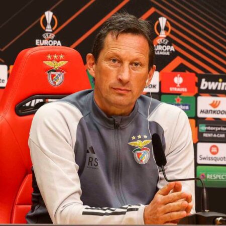 Roger Schmidt: “Pedir desculpa não é a minha atitude”