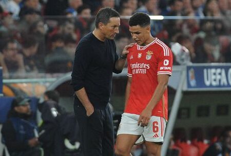 Benfica: Bah acelera para voltar já