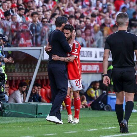 Rafa e o mercado que aí vem